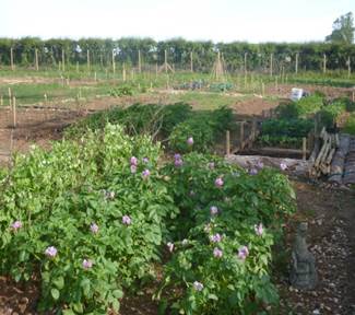 Allotment