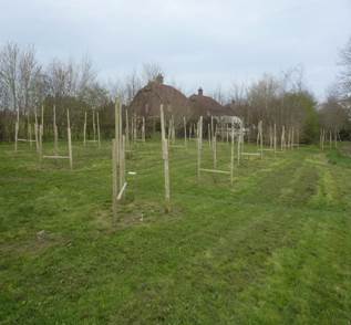 Allotment