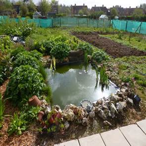 Allotment