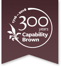 Caperbilty Brown Logo